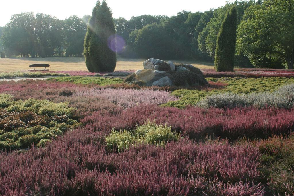 Ferienwohnung Lueneburger Heide ชเนเวอร์ดิงเงิน ภายนอก รูปภาพ