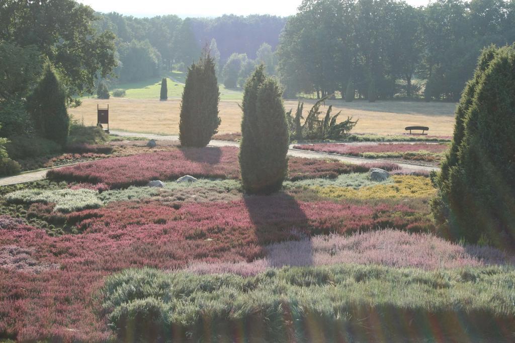 Ferienwohnung Lueneburger Heide ชเนเวอร์ดิงเงิน ภายนอก รูปภาพ